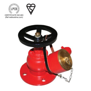 Oblique Landing Valve, Flanged Inlet