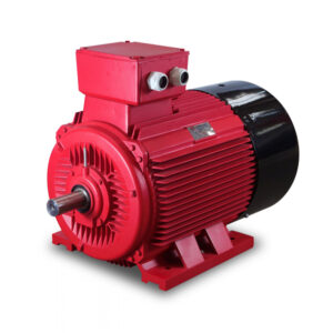 Electric Motor